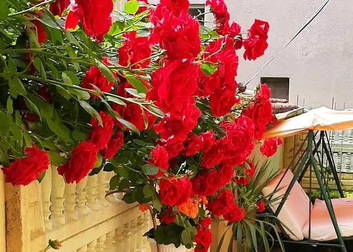 доли Поморие