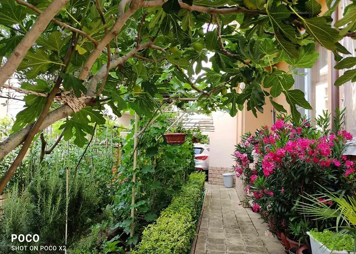 доли Апартаменты